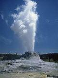 Geyser, Yellowstone National Park, Unesco World Heritage Site, Wyoming, USA Fotografie-Druck von Tony Waltham