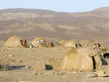 Desert Camp of Afar Nomads, Afar Triangle, Djibouti, Africa Photographie par Tony Waltham