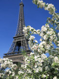 Eiffel Tower, Paris, France Photographic Print by Guy Thouvenin