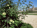 Potager Du Roi in August, and St. Louis Church, Versailles, Ile De France, France Photographic Print by Guy Thouvenin