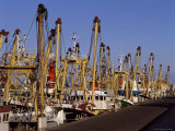 Fishing Fleet, Den Helder, Holland Fotografie-Druck von I Vanderharst