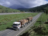 D H Webster - Logging Trucks on the Road Near Gisborne, East Coast, North Island, New Zealand Fotografická reprodukce