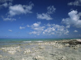 Rocky Shore, Grand Cayman, Cayman Islands, West Indies, Central America Photographic Print by Ruth Tomlinson Rocky Shore, Grand Cayman, Cayman Islands, West Indies, Central America Photographic Print by Ruth Tomlinson