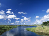 View from Riverbank of White Clouds and Blue Sky, Myakka River State Park, Near Sarasota, USA Photographic Print by Ruth Tomlinson