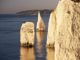 Early Morning Light on the Pinnacles, Handfast Point, Studland, Dorset, England Photographic Print by Ruth Tomlinson Early Morning Light on the Pinnacles, Handfast Point, Studland, Dorset, England Photographic Print by Ruth Tomlinson