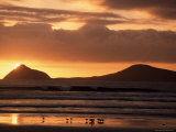 Sun Sinks Behind Small Islands, Wilson's Promontory National Park, Victoria, Australia Photographic Print by D H Webster Sun Sinks Behind Small Islands, Wilson's Promontory National Park, Victoria, Australia Photographic Print by D H Webster