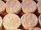 Maturing Camembert Cheese, Normandy, France Photographic Print by Guy Thouvenin