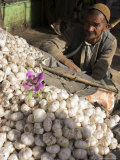 Man Selling Garlic, Bazaar, Central Kabul, Afghanistan Photographic Print by Jane Sweeney