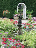 Fountains in the Italian Garden, Butchart Gardens, Saanich Peninsula, British Columbia Photographic Print by Ruth Tomlinson