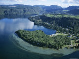 Local Lakes Surrounded by Forests and Giant Ferns, Rotorua, South Auckland, New Zealand Photographic Print by D H Webster
