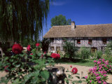 Roses in Front of Typical Timbered Farmhouse, Near St. Pierre-Sur-Dives, Calvados, France Photographic Print by Ruth Tomlinson