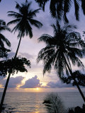 Sunset Framed by Palms, Patong, Phuket, Thailand, Southeast Asia, Aisa Photographic Print by Ruth Tomlinson