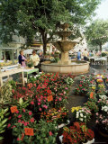 Fountain and Flower Market, Place Aux Aires, Grasse, Alpes-Maritimes, Provence, France Photographic Print by Adina Tovy