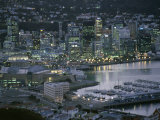 Te Papa Museum Marina and City Lights in the Evening, Wellington, North Island, New Zealand Photographic Print by D H Webster