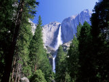 Upper and Lower Yosemite Falls, Swollen by Summer Snowmelt, Yosemite National Park, California Photographic Print by Ruth Tomlinson