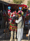 Driver of Colourful Horse Cart, Maimana, Faryab Province, Afghanistan Photographic Print by Jane Sweeney