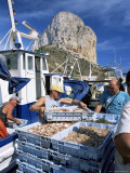 Fish Being Landed, Calpe, the Penyal d'Ifach Towering Above the Harbour, Alicante, Valencia, Spain Photographic Print by Ruth Tomlinson
