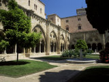 Cloister Garden, Tarragona Cathedral, Tarragona, Catalonia, Spain Photographic Print by Ruth Tomlinson