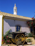 Farmhouse with Cart and Chimney, Silves, Algarve, Portugal Photographic Print by Tom Teegan