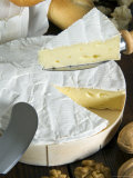 French Brie Cheese, France Photographic Print by Nico Tondini