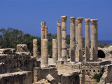 Palace Columns, Tolemaide (Ptolemais), Cyrenaica, Libya, North Africa, Africa Photographic Print by Nico Tondini