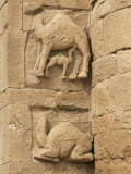 Temple of Allat, Hatra, Unesco World Heritage Site, Iraq, Middle East Photographic Print by Nico Tondini
