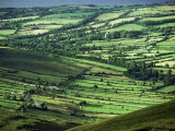 View Towards Lough Derg from Arra Mountains, County Clare, Munster, Republic of Ireland (Eire) Photographic Print by Adam Woolfitt