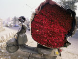 Flower Market, Lado Sarai, Delhi, India Photographic Print by John Henry Claude Wilson Flower Market, Lado Sarai, Delhi, India Photographic Print by John Henry Claude Wilson