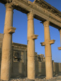 Ruins of the Colonnade, Palmyra, Unesco World Heritage Site, Syria, Middle East Photographic Print by Alison Wright