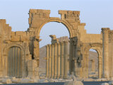 Ruins, Palmyra, Unesco World Heritage Site, Syria, Middle East Photographic Print by Alison Wright