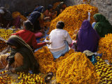 Flower Market, Lado Sarai, Delhi, India Photographic Print by John Henry Claude Wilson Flower Market, Lado Sarai, Delhi, India Photographic Print by John Henry Claude Wilson