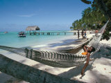 Hammock on the Beach, Tobago, West Indies, Caribbean, Central America Photographie par Adam Woolfitt