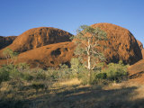 Unusual Weathered Rock Formation, the Olgas, Northern Territory, Australia Photographic Print by Ken Wilson