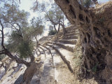 Roman Theatre, Nyasa, Turkey, Eurasia Photographic Print by Adam Woolfitt