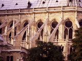 Flying Butresses, Notre Dame, Paris, France Photographie par Adam Woolfitt