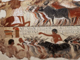 Fragment of a Tomb Painting Dating from Around 1400 BC from Thebes, Egypt, North Africa, Africa Photographic Print by Adam Woolfitt