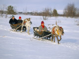 Southern Lapp Man with Reindeer Sledge, Roros, Norway, Scandinavia Photographic Print by Adam Woolfitt