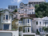 Houses, Wellington, North Island, New Zealand Photographic Print by Adam Woolfitt
