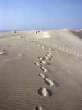Dunes Du Pilat, Guyenne, Near Bordeaux, Aquitaine, France Photographic Print by Adam Woolfitt