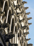 Facade with False Gargoyles, Eglise Notre-Dame, Dijon, Burgundy, France Photographic Print by Adam Woolfitt