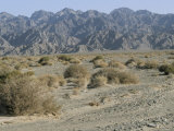 Southeast Area of the Taklamakan Desert, Xinjiang, China Photographic Print by Occidor Ltd 