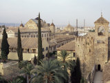 Episcopal Palace and Mosque, Cordoba, Andalucia, Spain Photographic Print by Timothy Winter