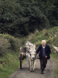 Donkey Cart, County Leitrim, Connacht, Republic of Ireland (Eire) Fotografie-Druck von Adam Woolfitt