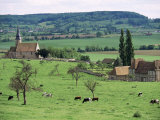 Farms Near Vieux-Pont-En-Ange, Near Boissey, Basse Normandie (Normandy), France Photographic Print by Adam Woolfitt