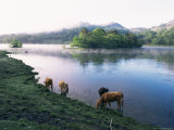 Ambleside and Windermere, Lake District, Cumbria, England, United Kingdom Photographie par Loraine Wilson