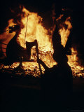 Up Helly Aa Fire Festival, Shetlands, Scotland, United Kingdom Photographie par Adam Woolfitt
