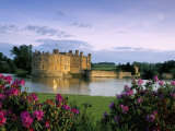 Leeds Castle, Kent, England, United Kingdom Fotografie-Druck von Adam Woolfitt