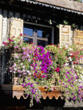 Hill Village of La Alberca Near Salamanca, Castile, Spain Photographic Print by R H Productions 