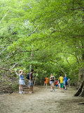 Visitors to Manuel Antonio National Park, Costa Rica, Central America Photographic Print by R H Productions Visitors to Manuel Antonio National Park, Costa Rica, Central America Photographic Print by R H Productions