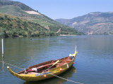 Vineyards Near Pinhao, Douro Region, Portugal Photographic Print by R H Productions 